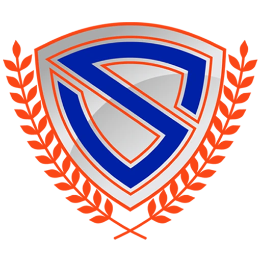 Schneider Car Accident And Injury Firm Orange Logo